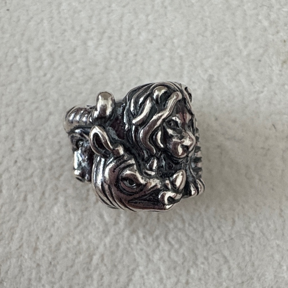 Pandora African Safari Silver Textured charm - Picture 4 of 6